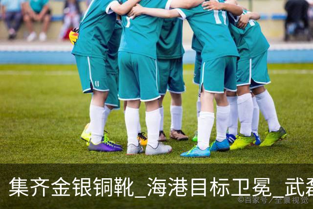 集齐金银铜靴 海港目标卫冕 武磊的伤是个麻烦